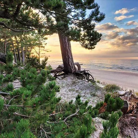 Gasthof I Na Sosnowej