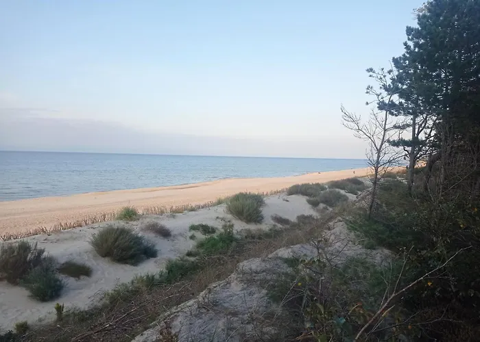 I Na Sosnowej Ostrowo (Puck)