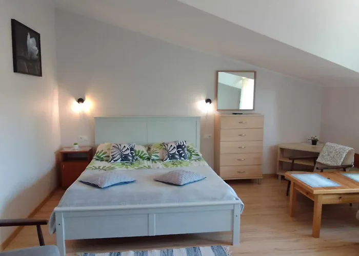 I Na Sosnowej Penzion 3*