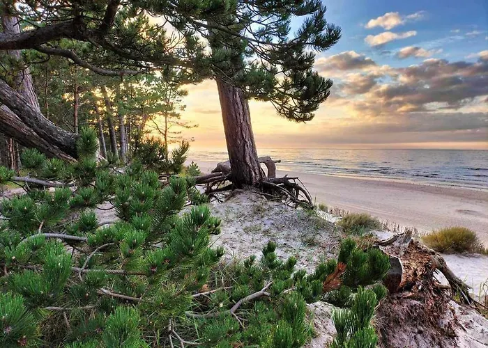 Penzion I Na Sosnowej